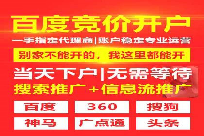 成功案例解析：SEM竞价托管助力企业品牌升级